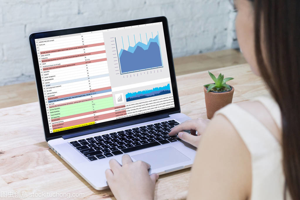 商务信息技术人士工作硬数据分析与咨询